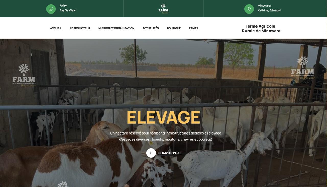 BaySaWaar - Plateforme e-commerce moderne